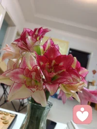 心里意识想什么，就会成为什么样的人生