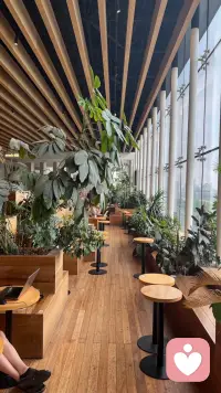 🌿 “今天在咖啡店，隔壁桌的女孩小声对着电话说：‘其实我真的好累，但不知道该跟谁讲……

我轻轻推过去一张便条：也许陌生人愿意听，而我会保密。