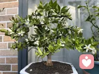 其实，选错了就选错了，别总是去责怪曾经的自己。那时候你一个人站在大雾里也很迷茫啊，你拿着现在的阅历去责备曾经的自己，连你自己都这么欺负自己了谁又会善待你呢？人生如棋过错也好，错过也罢照单全收不就好了…