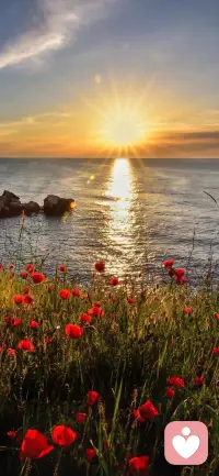 为社么要对孩子好一点呢？有个一个很戳心的答案：幸福的童年可以治愈一生，不幸的童年需要花一生治愈……