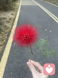 倾听，就是当你无助的站在荒野中不知所措，我会站在有光的地方，静静等你一步步走进光明里