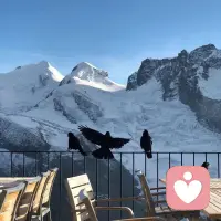 只要你不去关注任何人的动态，不揣测别人的想法，也不想一些没有发生的事，不明不白，稀里糊涂的生活就会特别的舒服，你要知道敏感的人要承受双倍的难过，所以我希望大家可以迟钝一点，只要你不在乎是没有人能左右你。配图