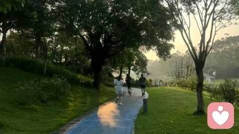 幸福者退让原则:一场关于理性取舍的智慧抉择