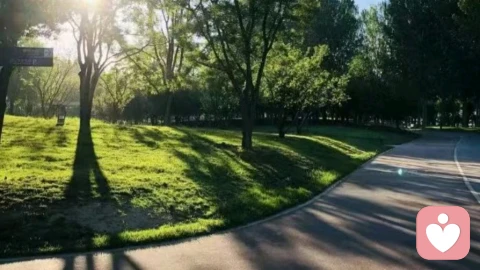 跳出付出感陷阱，终结情感内耗