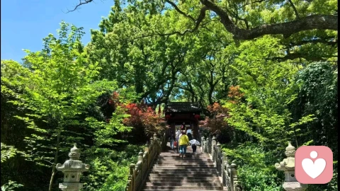 吵架快速止损：给情绪按下暂停键