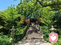 尊重命运，说到底就是放过自己！你会发现少了说教的内耗，关系反而更松弛，接受了他要走的弯路，你才腾得出手走好自己的路。