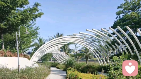 伴侣出轨后,该怎么做?