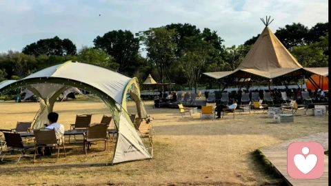 失恋不用急，慢慢会好的