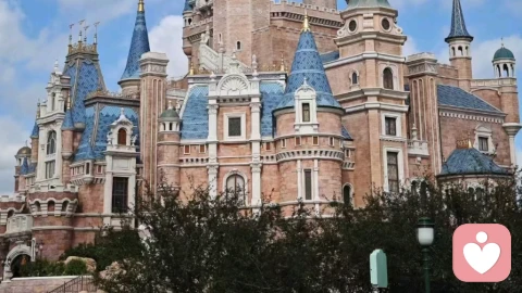 我们都没错，只是不同频