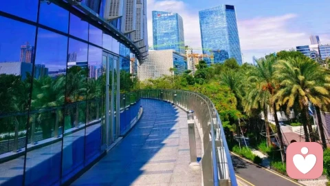 自我接纳五维度,筑牢自爱核心