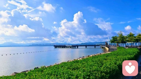 告别自我否定：从接纳自我到稳步变好