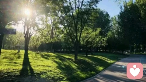 经营婚恋关系：5个实用核心要点，让感情长久又舒服