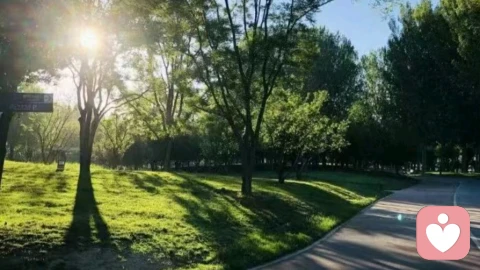 情绪上头别硬扛：五步稳住心态，慢慢和自己和解