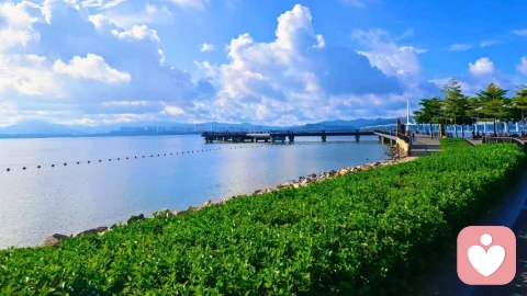 自我接纳不是认怂，是长大的底气