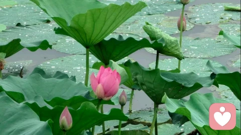 告别情绪内耗,从这三步开始