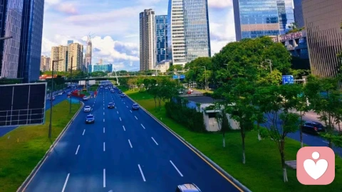 婆婆插手小家庭:会说比忍好