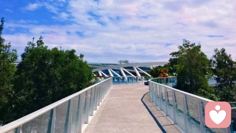 婚姻里工资怎么管？没有标准答案，合适最重要