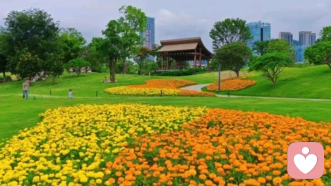 别让别人的人生，乱了你的节奏