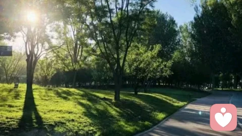 想通了却依旧内耗难受？你只是一直在错爱自己