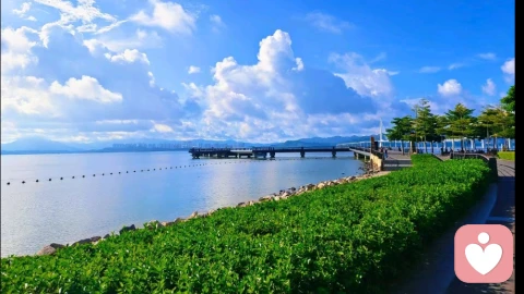 回避型与焦虑型依恋:一场相爱相杀,更是彼此救赎