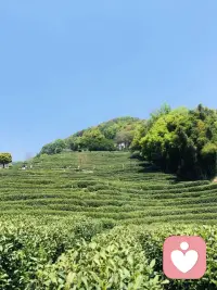 错的人迟早会走散，对的人迟早晚会相逢，该你遇到的人你躲不掉，该你经历的劫你逃不掉，不得不承认的是，你决定不了一个人的出现，也决定不了一个人的离开，你能做的只能珍惜不期而遇的惊喜，也接受突如其来的失去……