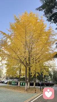 在探索的路上，一定会遇到问题
兵来将挡，水来土掩，温柔而坚定
温柔:别人的想法和建议，我愿意听
坚定:我还是会按照自己的节奏走自己的路