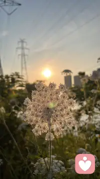 昨天接咨询接到凌晨2点
来访说ta没想到有一天ta会付费找人聊天

不知道你发现没有，有些事真的在现实生活里不可说不能说无处说，像藏在深海里的声音

可是你可以在一个陌生人面前敞开自己，不用掩饰，不用伪装，就如你所是

有的来访是带着困惑问题而来，咨询像是点亮了一盏灯

而有的来访是追求精神的交流共鸣，被理解被看见

漫无边际的探讨遐思，何尝不是一场心灵的盛宴？