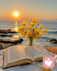 我们终其一生，都在找一个能说话的人，能听你说话，能听懂你说话，能听你说废话，这看似简单的想法，实则，要多幸运，才能遇到！配图