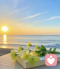 每个人都有被倾听的需求，倾诉不是软弱的表现，而是情绪的出口！我愿做一个安静的倾听者，温暖的陪伴者，陪你走过情绪的雨季，看见内心的光配图