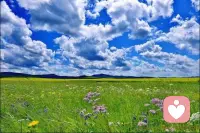 每个人都是第一次来到这个世界，
 每个人也终将离开这个世界。

 不管在你眼中这是一个怎样不堪的世界，
 我都愿陪着你一起深呼吸， 
一起慢慢地抚平内心的创伤。