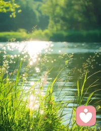 心若向阳，无畏悲伤；眼里有光，脚下有路。配图