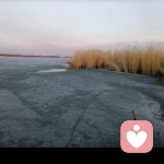 一片空白的头像