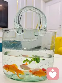 用美好之心看待世界风景😉美好的一天开始了～早安🌞配图