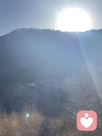 夕阳余晖🌇暖意融融😊给冬日增添一抹温柔～