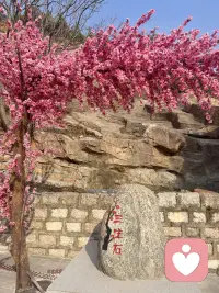 ‌别给自己套上枷锁……配图