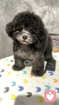 好久不见啊～
