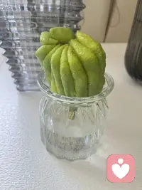 人生如天气，可预料，但往往出乎意料！配图