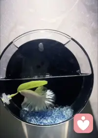 快乐各🈶千万种，上班不在其中😌躲不开的周一会议～早安