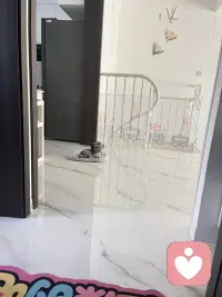 厕所搭子已就位😆小狗૮・ᴥ - ა的陪伴从不缺席～周末愉快