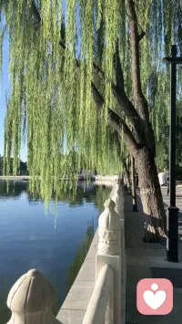 十🈷️初的清晨，一窗秋色，一眼后海～早安