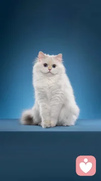 别让“过度反思”，变成伤害自己的利器
 
是不是做完一件事就反复琢磨“哪里没做好”？别人一句无心的话，就能在心里翻来覆去想一整天？这不是严谨，是过度反思。
 
适度反思能帮我们成长，但过度反思，本质是对自己的苛责。它会让你困在“如果当时”的假设里，不断消耗心力，最后变得敏感又疲惫。
 
试着给反思设个“时间限额”：每天只留10分钟复盘，其余时间告诉自己“这件事已经过去了”。把注意力从“做错的地方”转移到“学到的经验”上。
 
放过自己，才是成长的必修课。
 
#话题#过度反思 #个人成长 #心理调适