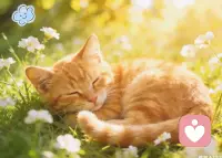 时间是公平的，如果我们把时间用来开心，那么我们是幸福的，如果用来沮丧，痛苦迷惑，那么我们是懊恼的！

我们无法选择发生什么，但可以选择如何回应它。允许自己有沮丧的时刻，同时记得，我们永远保有将注意力转向温暖、行动和希望的主动权