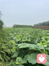倾诉呢，可能是我们心底的那些情绪，比如说悲伤委屈，愤怒被看见，我们会获得一些心情上的放松可是如果这些情绪背后的事情没有解决，没有放下我们还是会被他困扰，所以我们要从根源上去看看到底发生了什么配图