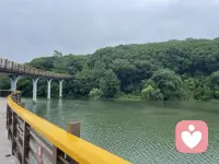 如果你感到不开心、痛苦或者烦恼，可以看看这位乡村牧师在聆听几十年忏悔之后，总结的人性——首先，人们要比想象中的更不开心，其次，没有一个完全成长的人，包括咨询师，都注定要体验生命的美好，也要体验起不可避免的暗黑之处：换灭衰老，疾病孤独丧失意义，痛苦的选择和死亡