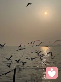 年味很浓，祝大家：万事如意，身体健康，平安喜乐，岁岁平安！