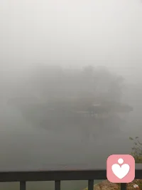 今日份的快乐，爱丽丝仙境