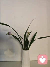 生活需要仪式感，
先爱自己，
别人才会用你爱自己的方式爱你。
与姊妹们共勉！配图