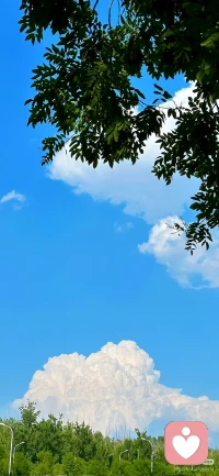 今天是1月14日，农历二十六，我们要活出：不必成为任何人，你的存在本身就是独特的贡献。你的声音、你的视角、你走过的路，组合成世上唯一的频率。世界需要交响乐，也需要你这支独特的旋律。做自己，就是对世界最美的回应。