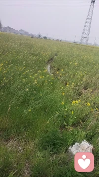 生活无需拥挤，人生不必慌张。
三餐烟火，四季清欢，心安处便是治愈。
心存期盼，岁岁无忧，事事皆顺意。配图