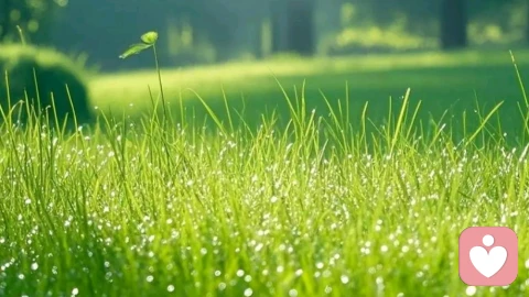 用认知改变情绪困境